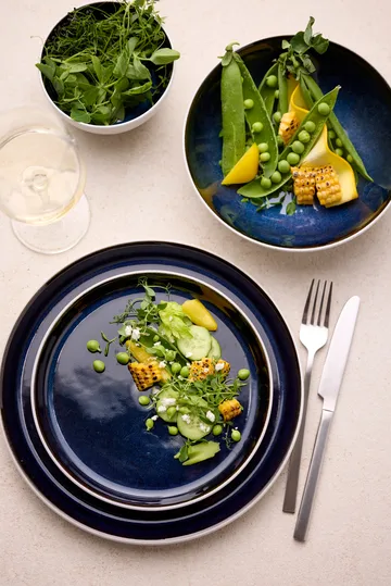 비츠 보울 가스트로 Ø12 cm - White–dark blue - Bitz | 비츠