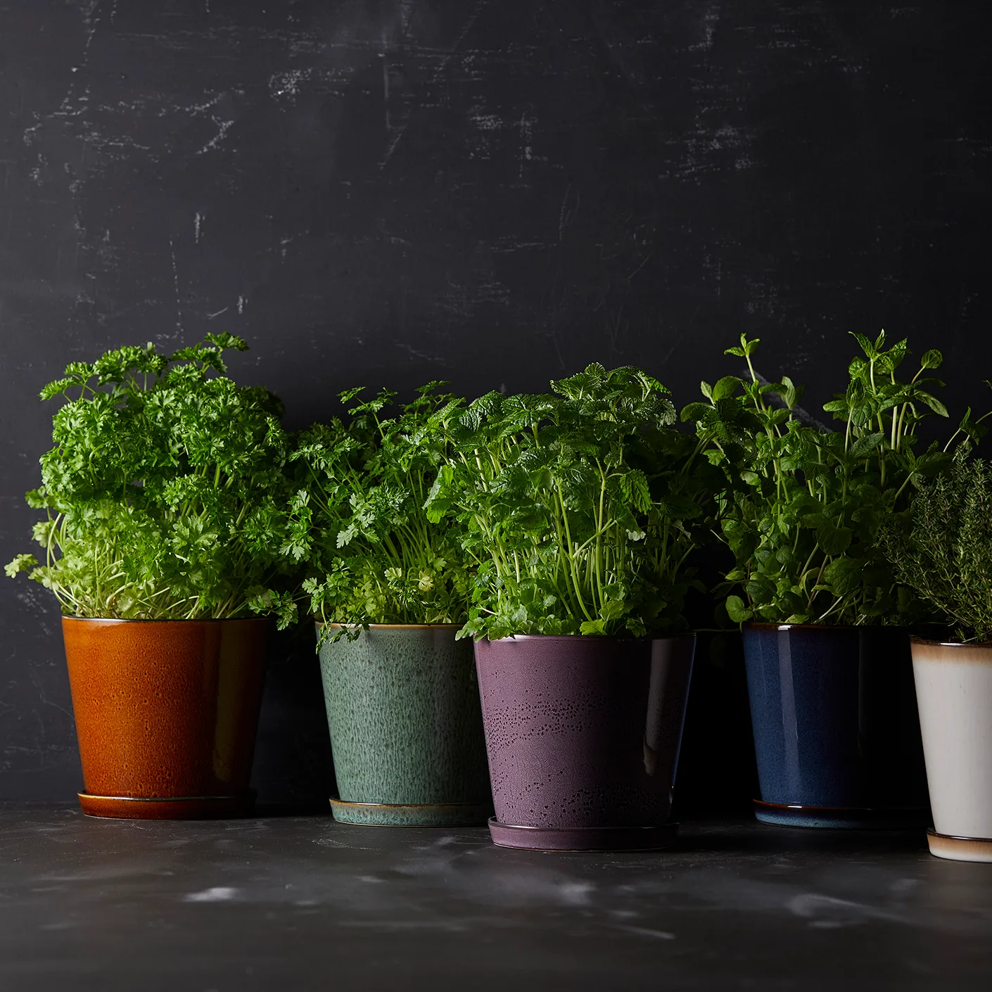 비츠 화분 & 소서 Ø14 cm, green-black Bitz | 비츠