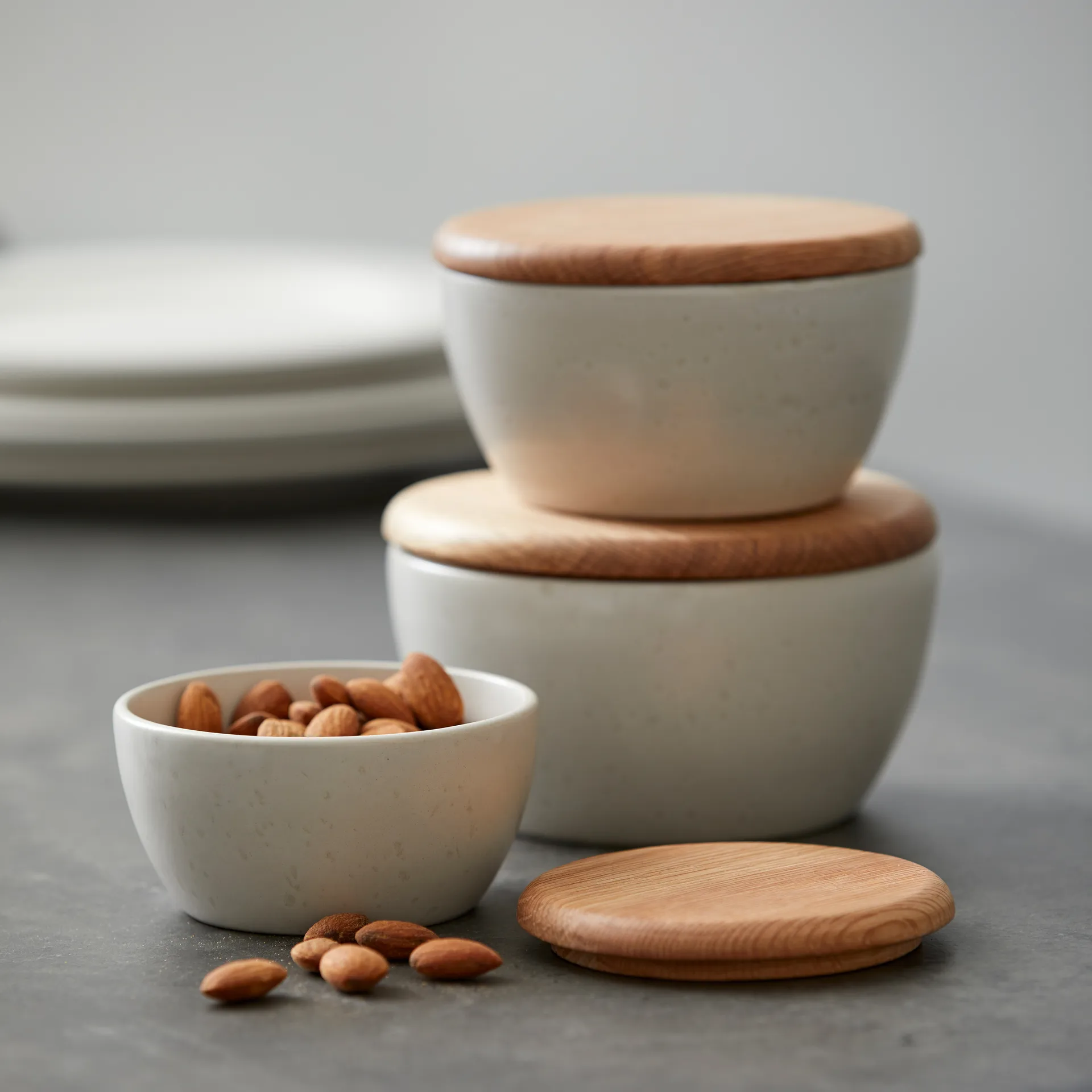 비츠 리드 14 cm, oak Bitz | 비츠