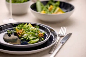 비츠 플레이트 가스트로 Ø27 cm - White-dark blue - Bitz | 비츠