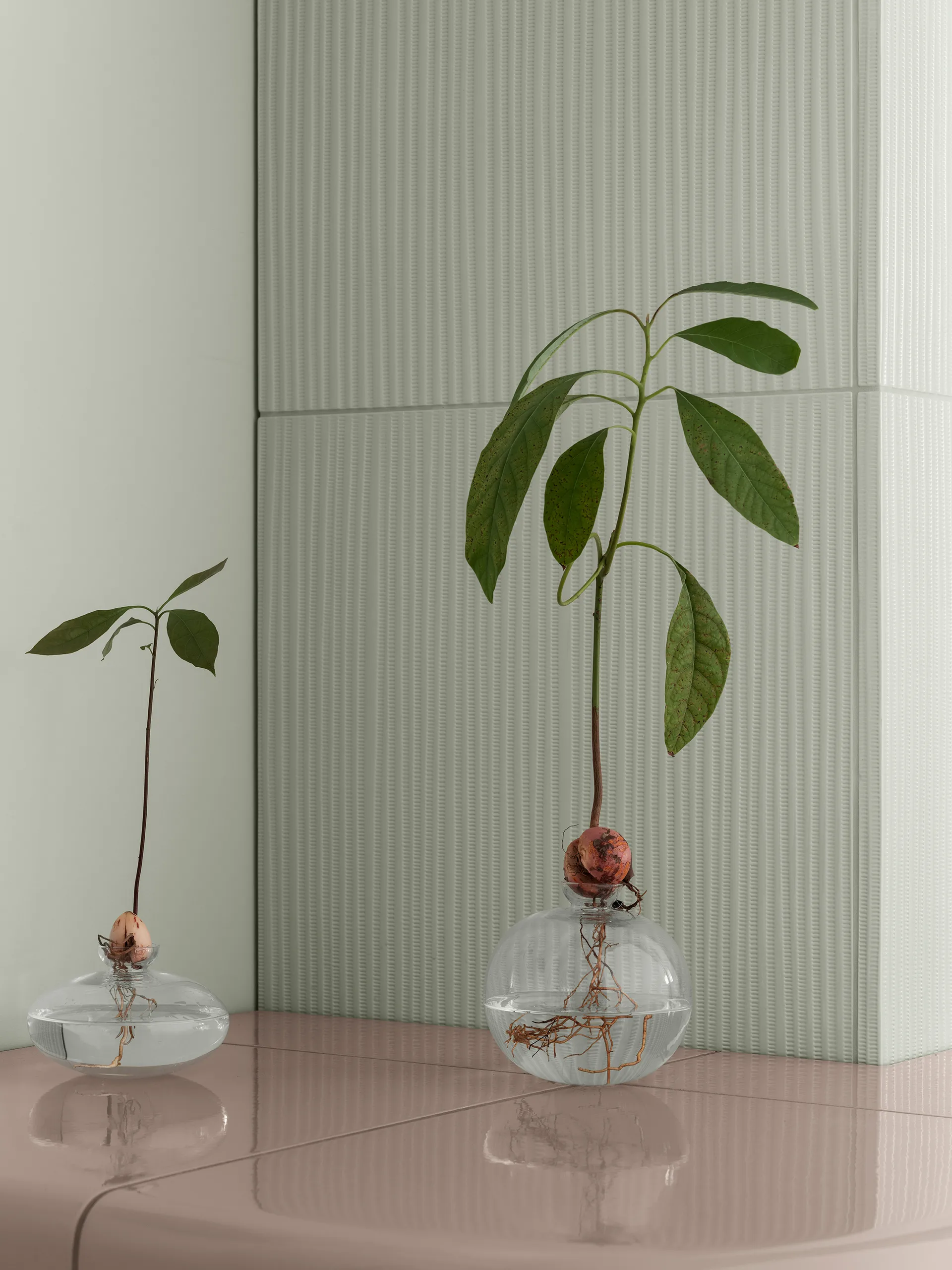 아보 화병 14.5 cm, Clear blomus | 블로무스