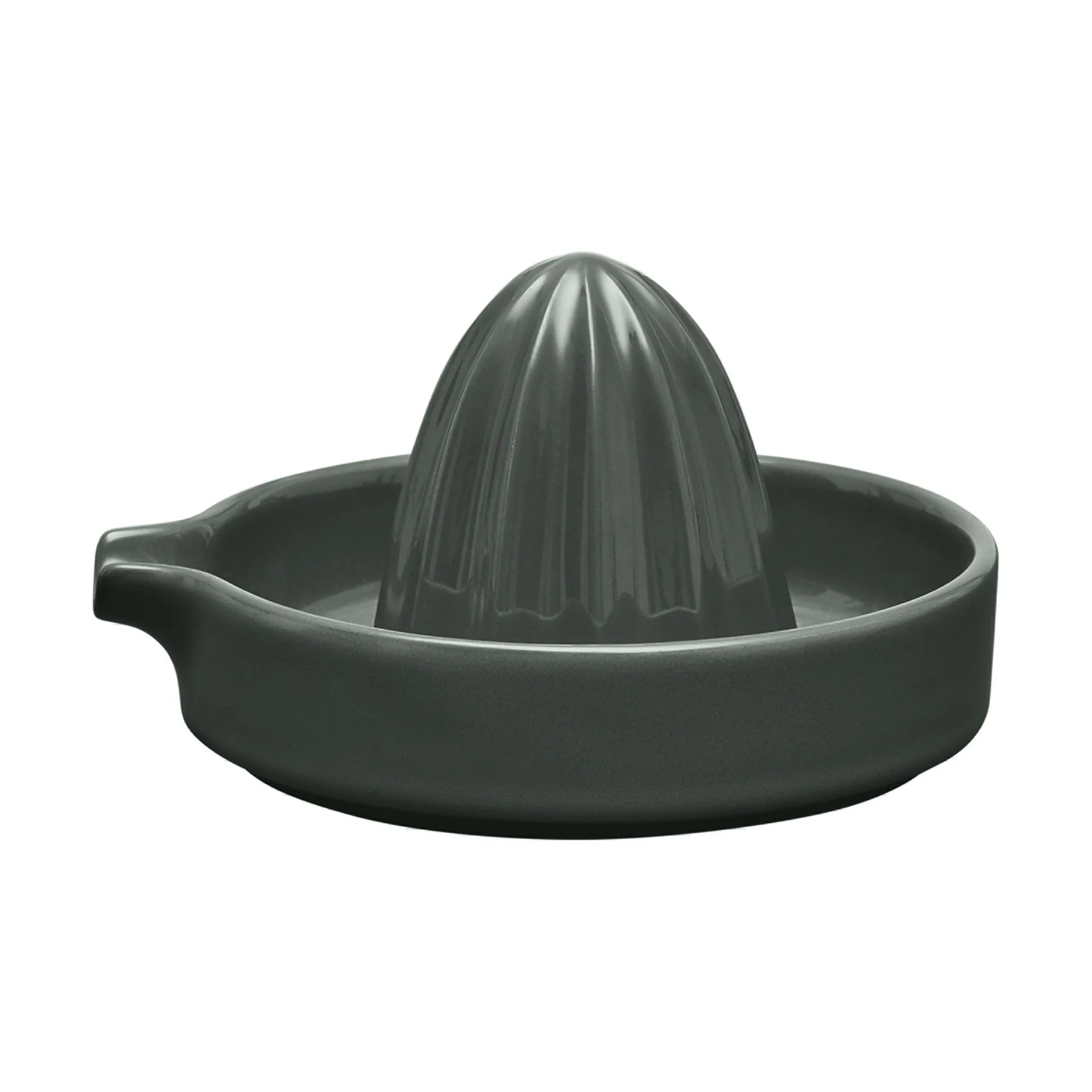 필라 시트러스 주서, Agave Green blomus | 블로무스