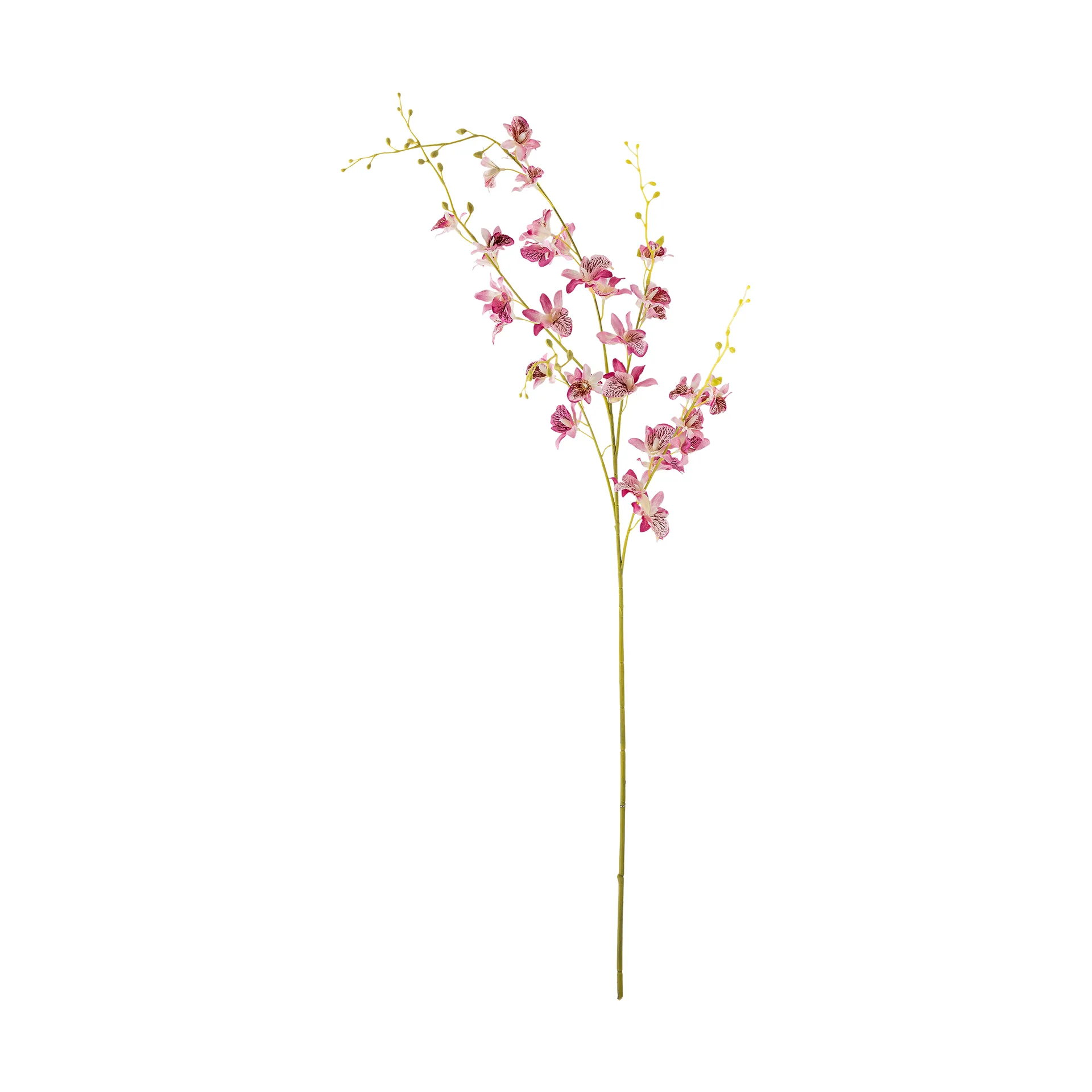 스템 오키드 왁스 플라워, Pink Bloomingville | 블루밍빌
