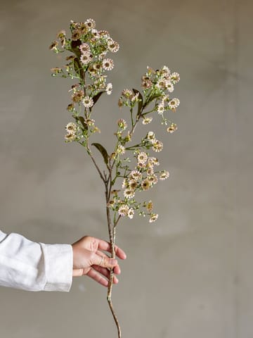 스템 왁스 플라워 - White - Bloomingville | 블루밍빌