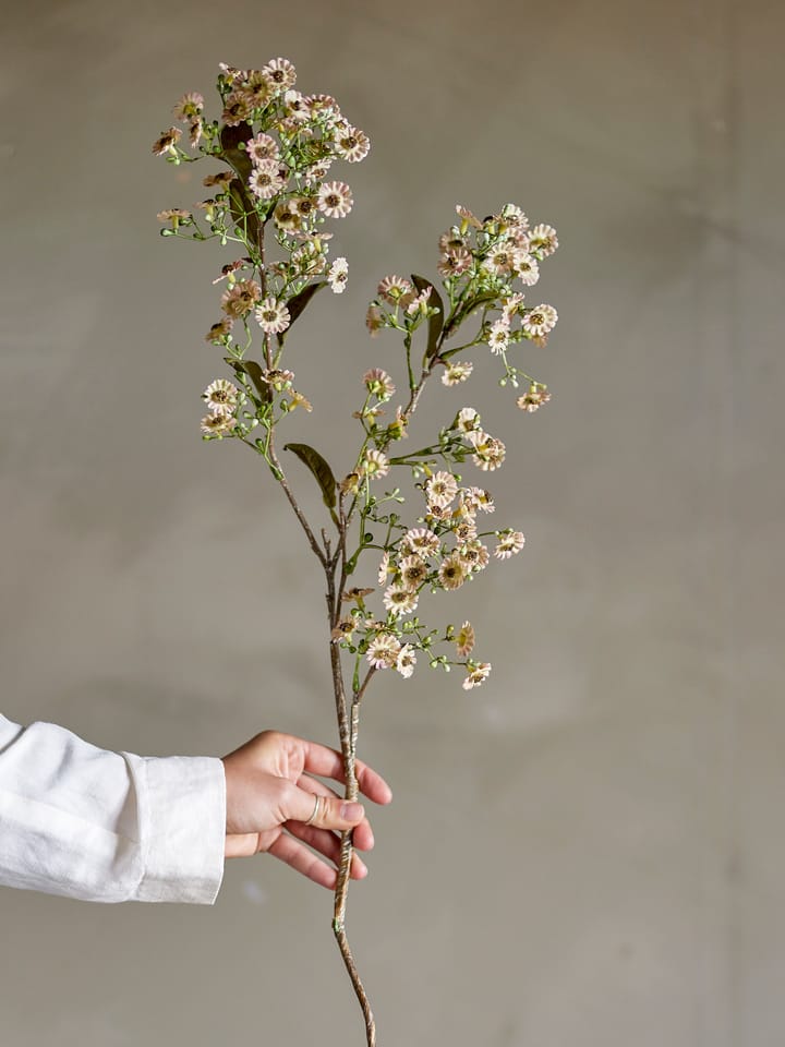 스템 왁스 플라워, White Bloomingville | �블루밍빌