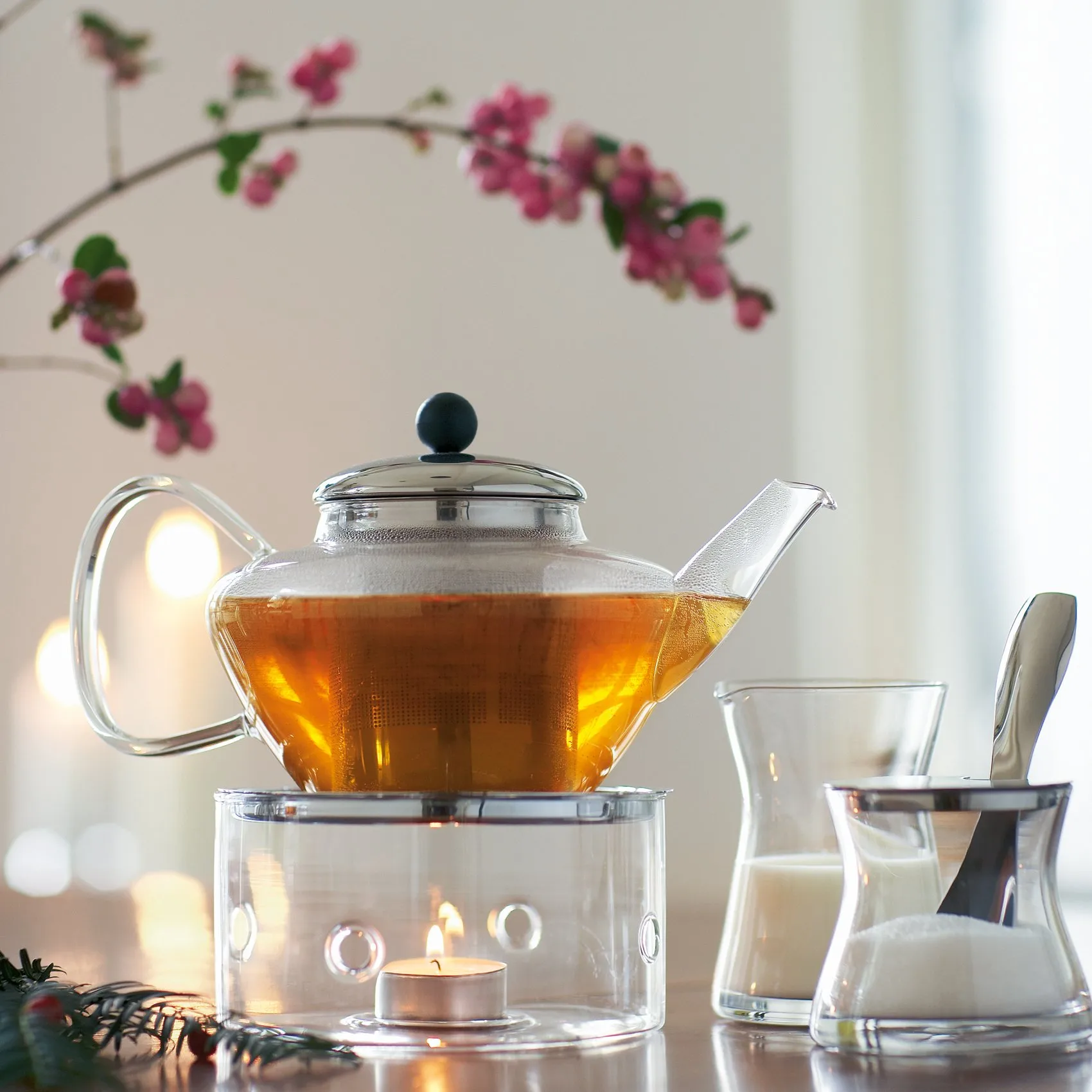 비스트로 티 워머, chrome Bodum | 보덤