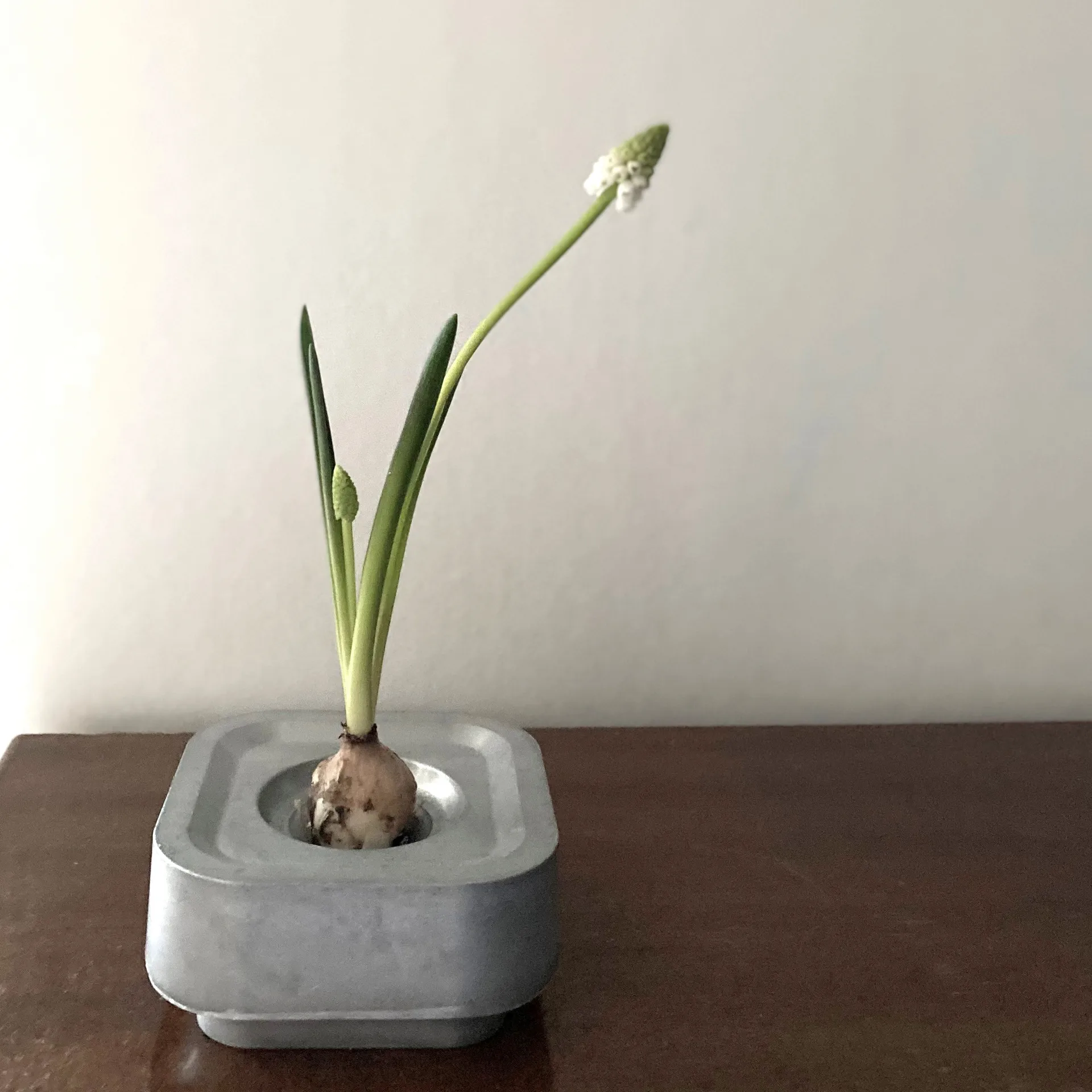 스텀파스타켄 캔들 홀더 에탄, aluminum Born In Sweden | 본인스웨덴