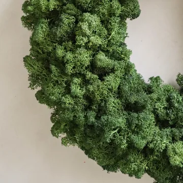 이끼 화환 - 그린, 지름 40 cm - Botané | 보타네