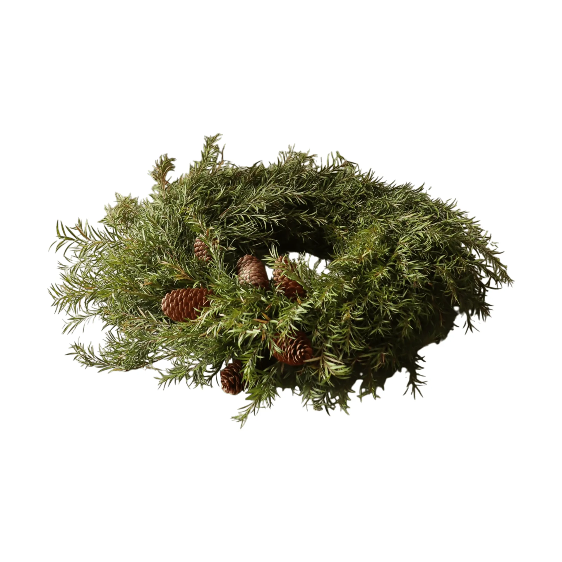 에버그린 파인 리스 크란스, 전나무 가지, Ø40 cm Botané | 보타네