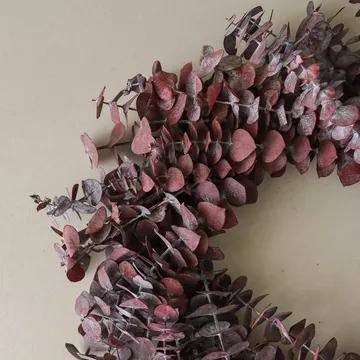 유칼립투스 화환 - 다크 레드, Ø40 cm - Botané | 보타네