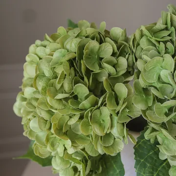 수국 인공 꽃 - 모스 그린, 51 cm, 1개 - Botané | 보타네
