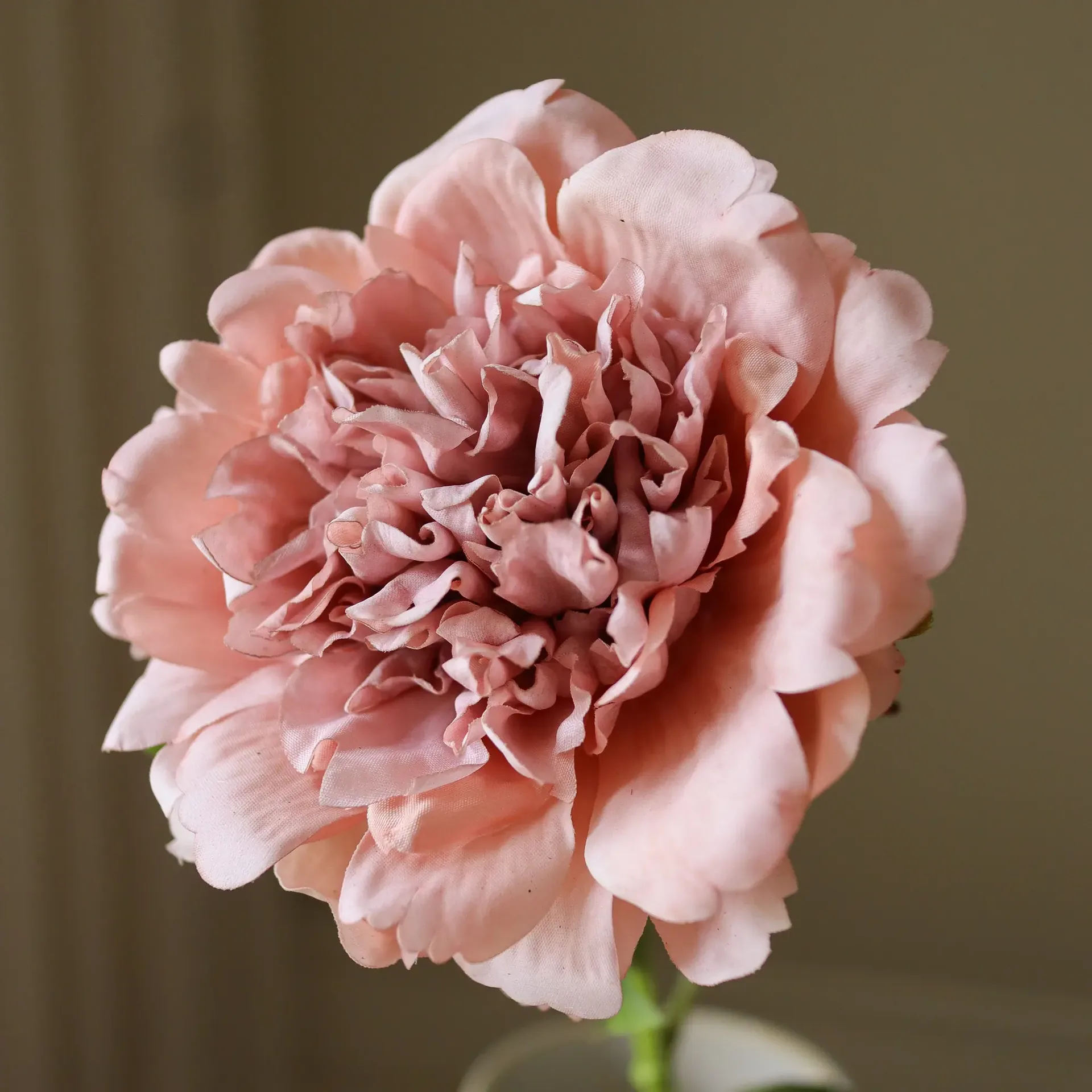 작약 인조 꽃, 더스티 핑크, 56 cm, 1개 Botané | 보타네