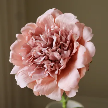 작약 인조 꽃 - 더스티 핑크, 56 cm, 1개 - Botané | 보타네