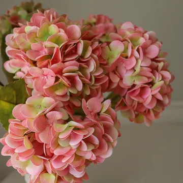 수국 인조 부케 - 소프트 핑크, 60 cm, 5개 - Botané | 보타네
