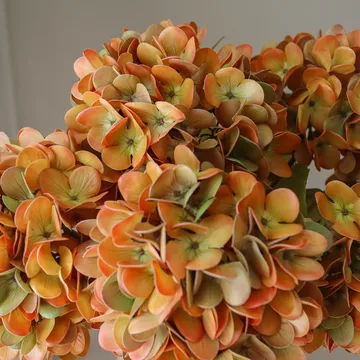 수국 인조 부케 - 오렌지, 60 cm, 6개 - Botané | 보타네