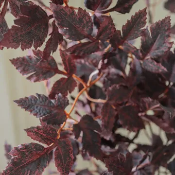 버건디 자두 잎 인조 부케 - 레드, 85 cm, 1개 - Botané | 보타네