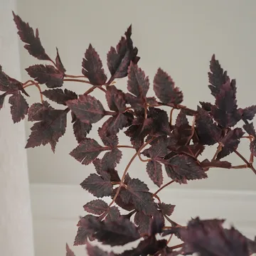 버건디 자두 잎 인조 부케 - 85 cm, 4개 - Botané | 보타네