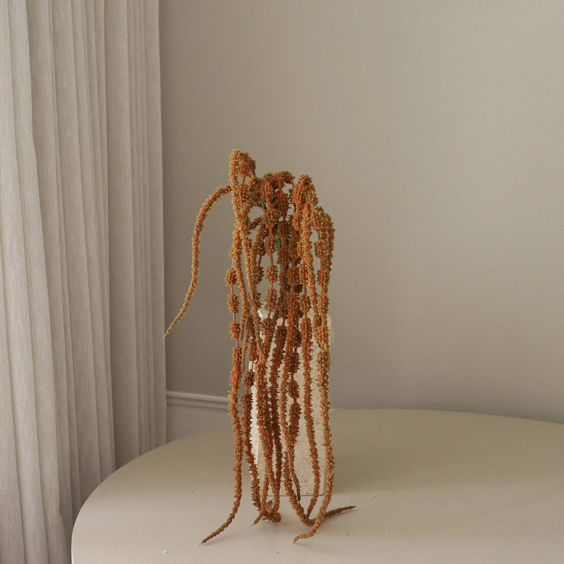 행아마란스 조화 꽃, Brown, 112 cm Botané | 보타네