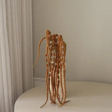 행아마란스 조화 꽃 - Brown, 112 cm - Botané | 보타네