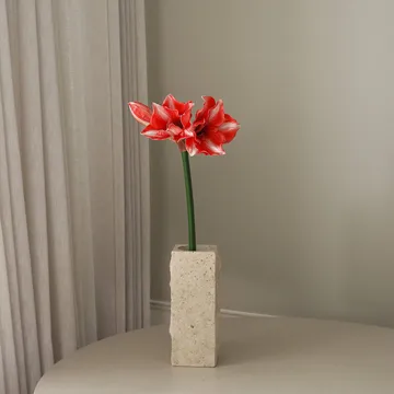 아마릴리스 인조 꽃 - Dark red, 72 cm - Botané | 보타네