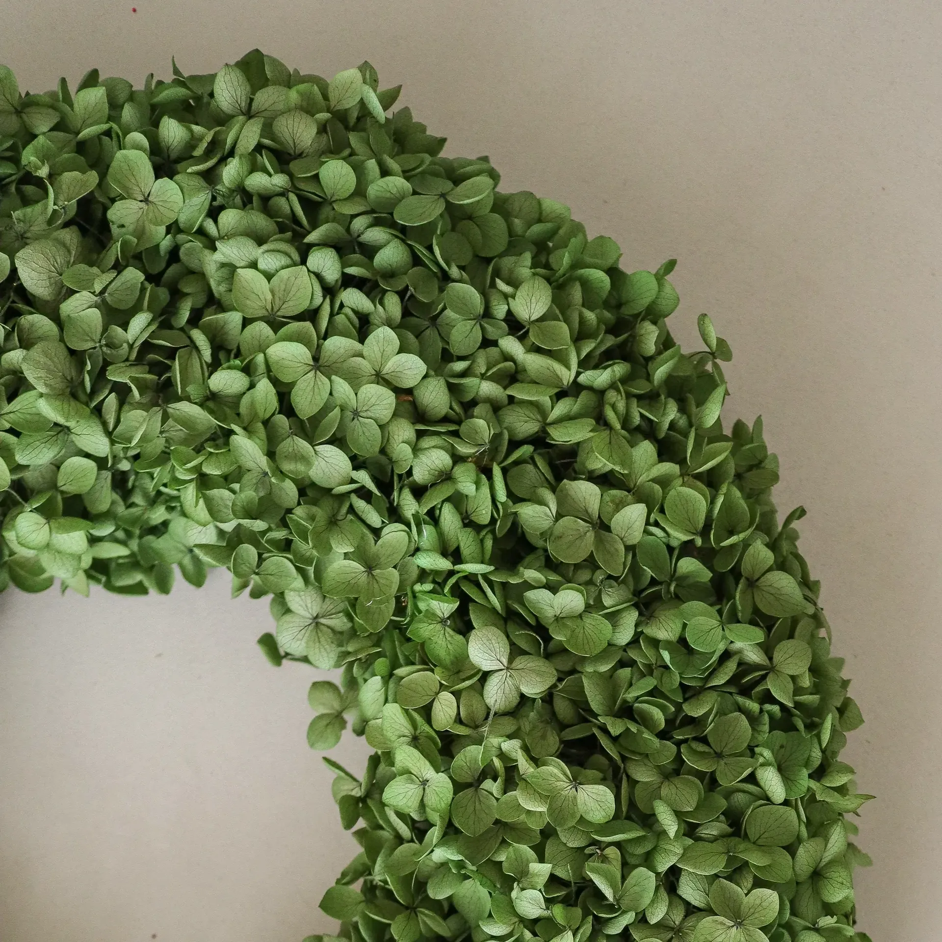 Hortensia 화관, 그린, 지름 40 cm Botané | 보타네
