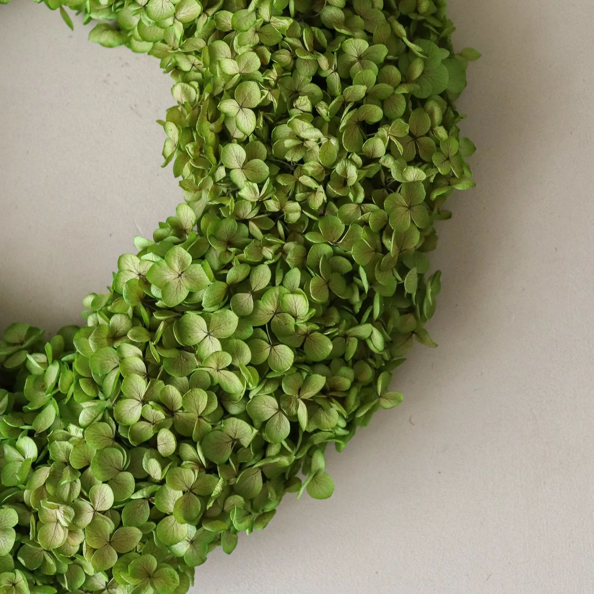 Hortensia 화관, 연한 그린, Ø40 cm Botané | 보타네