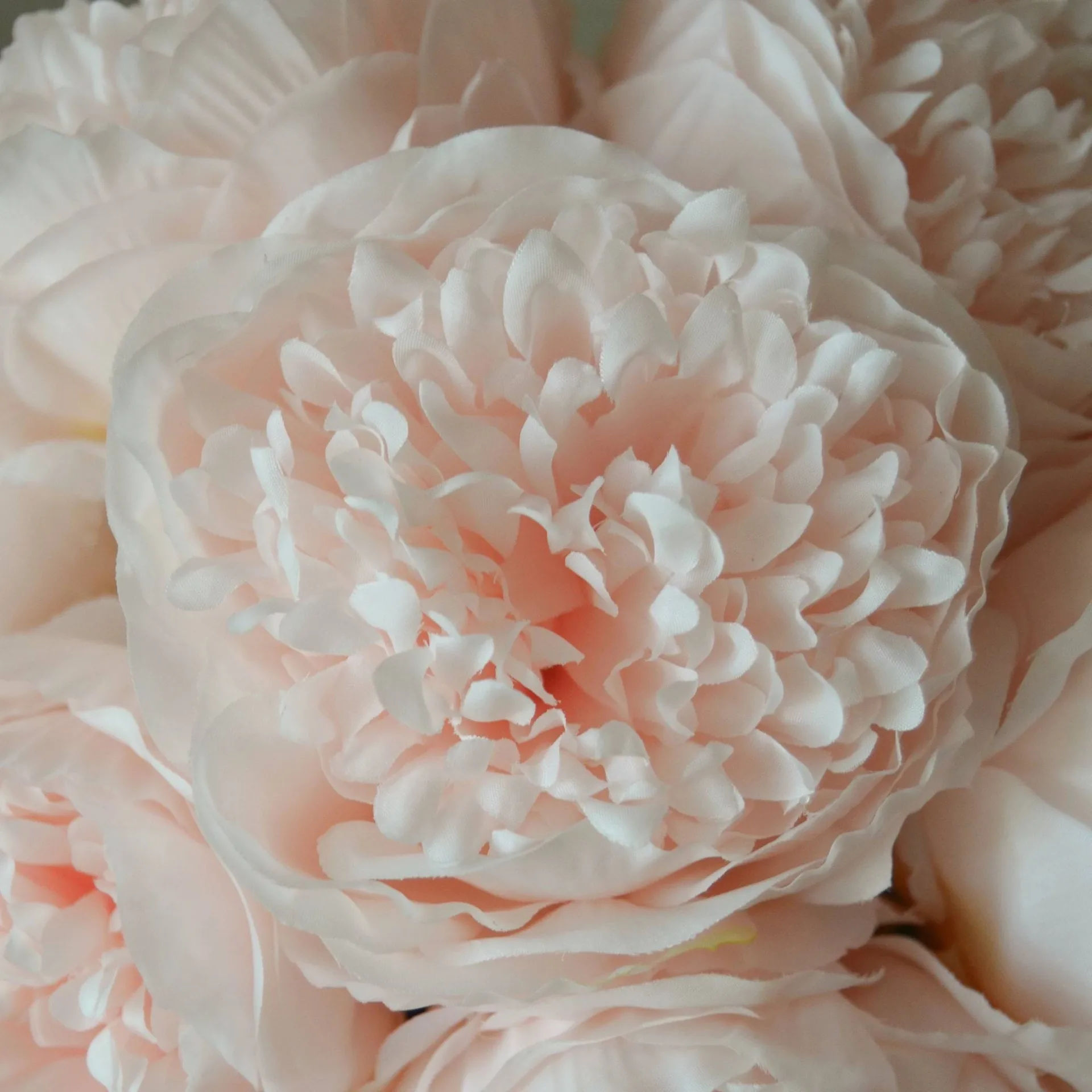 인공 작약 부케, Mini, light pink 10 pcs Botané | 보타네