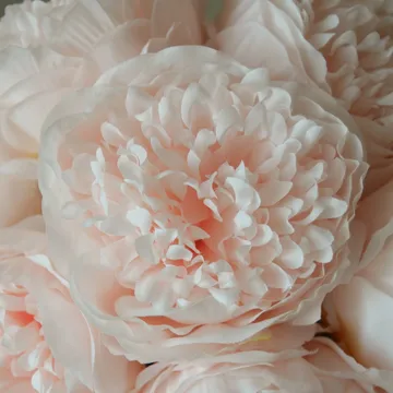 인공 작약 부케 - Mini, light pink 10 pcs - Botané | 보타네