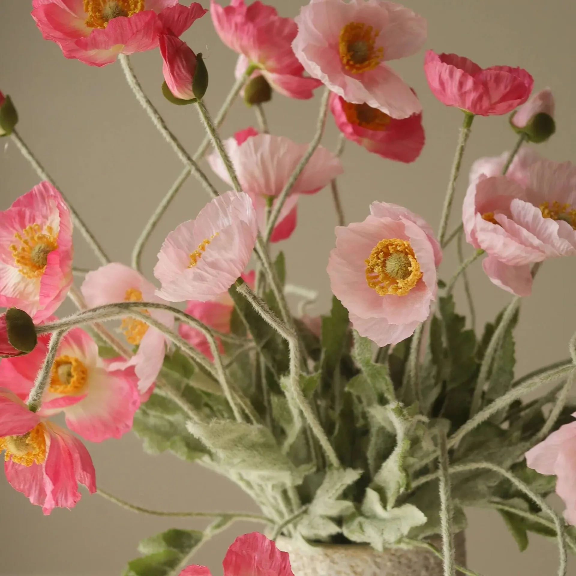 양귀비 조화 꽃다발, Pink Pursuit, light pink-pink, 10 pcs Botané | 보타네