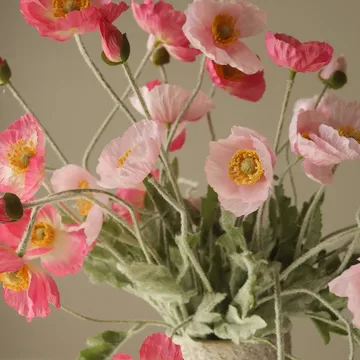 양귀비 조화 꽃다발 - Pink Pursuit, light pink-pink, 10 pcs - Botané | 보타네