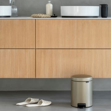뉴 아이콘 페달 빈 휴지통 5 리터 - Metallic Gold - Brabantia | 브라반티아