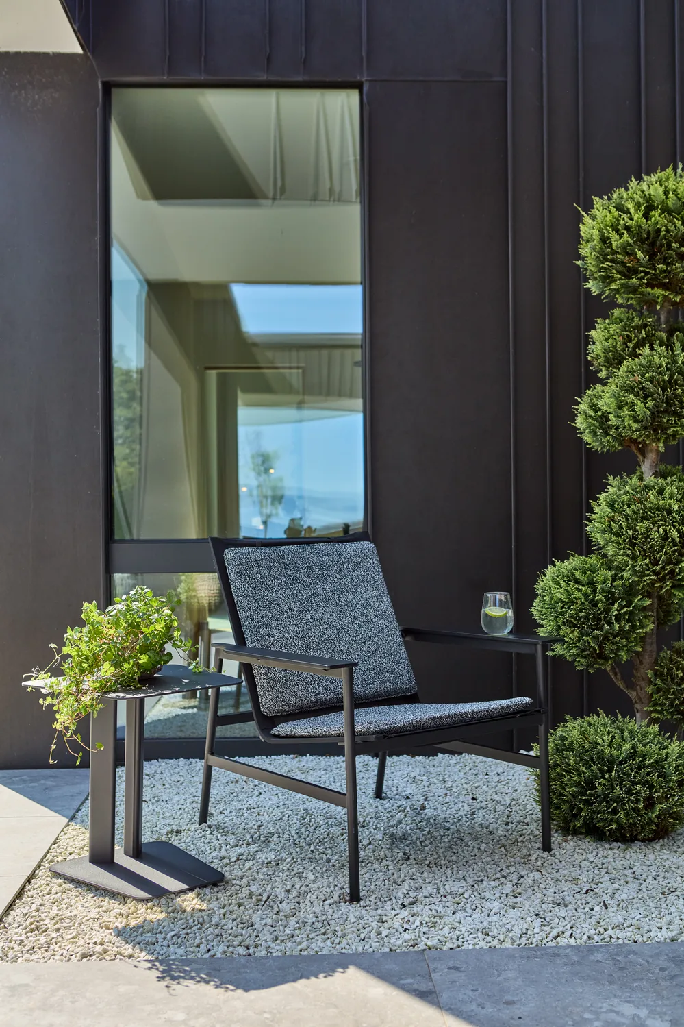 소로 라운지 암체어, Black-teddy ant Brafab