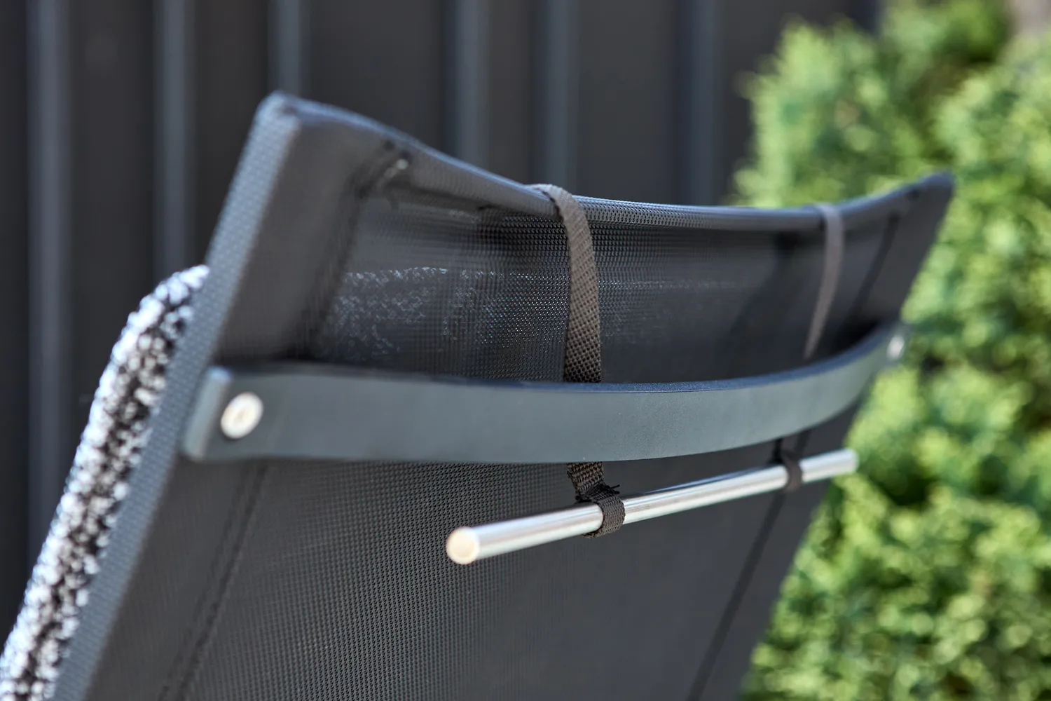 소로 라운지 암체어, Black-teddy ant Brafab