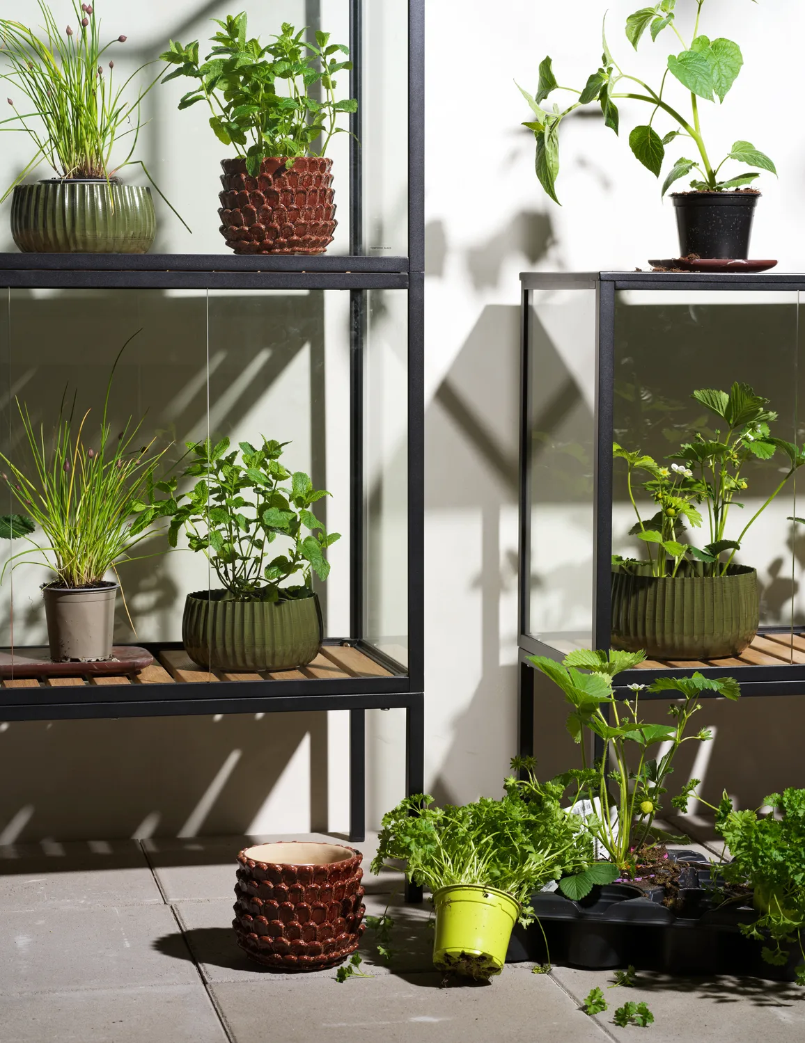 Grower Greens 식물 캐비닛, Black, 81x82 cm Brafab