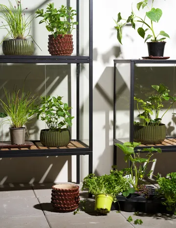 Grower Greens 식물 캐비닛 - Black, 81x82 cm - Brafab