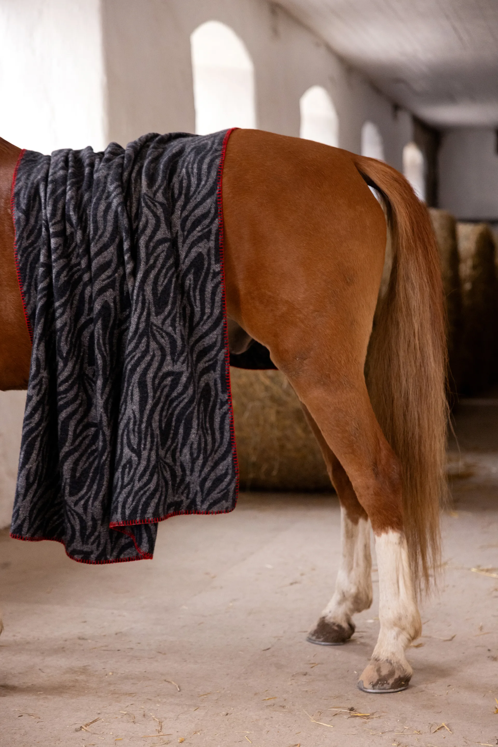 아니마 스로우 130x200 cm, Zebra Byon | 바이온