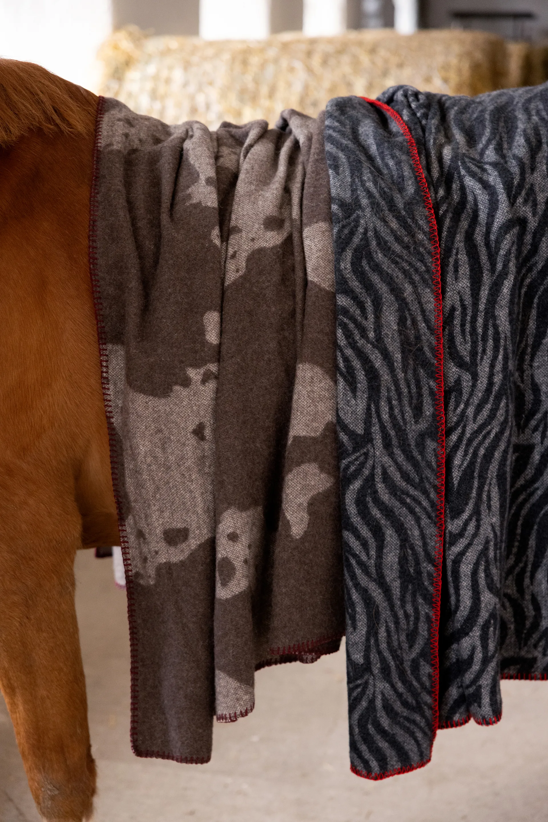 아니마 스로우 130x200 cm, Zebra Byon | 바이온