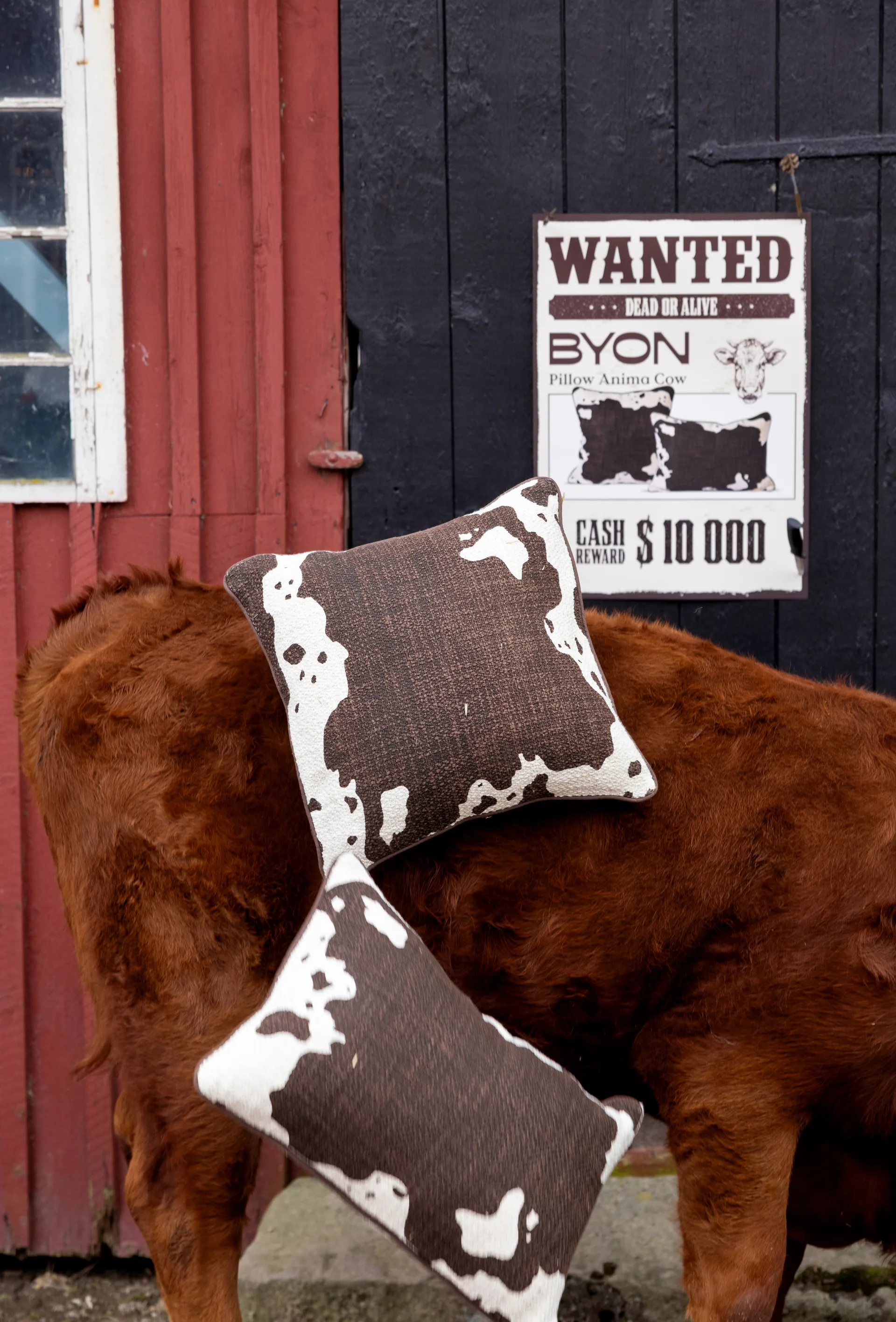 아니마 베개 L 40x60 cm, Cow Byon | 바이온