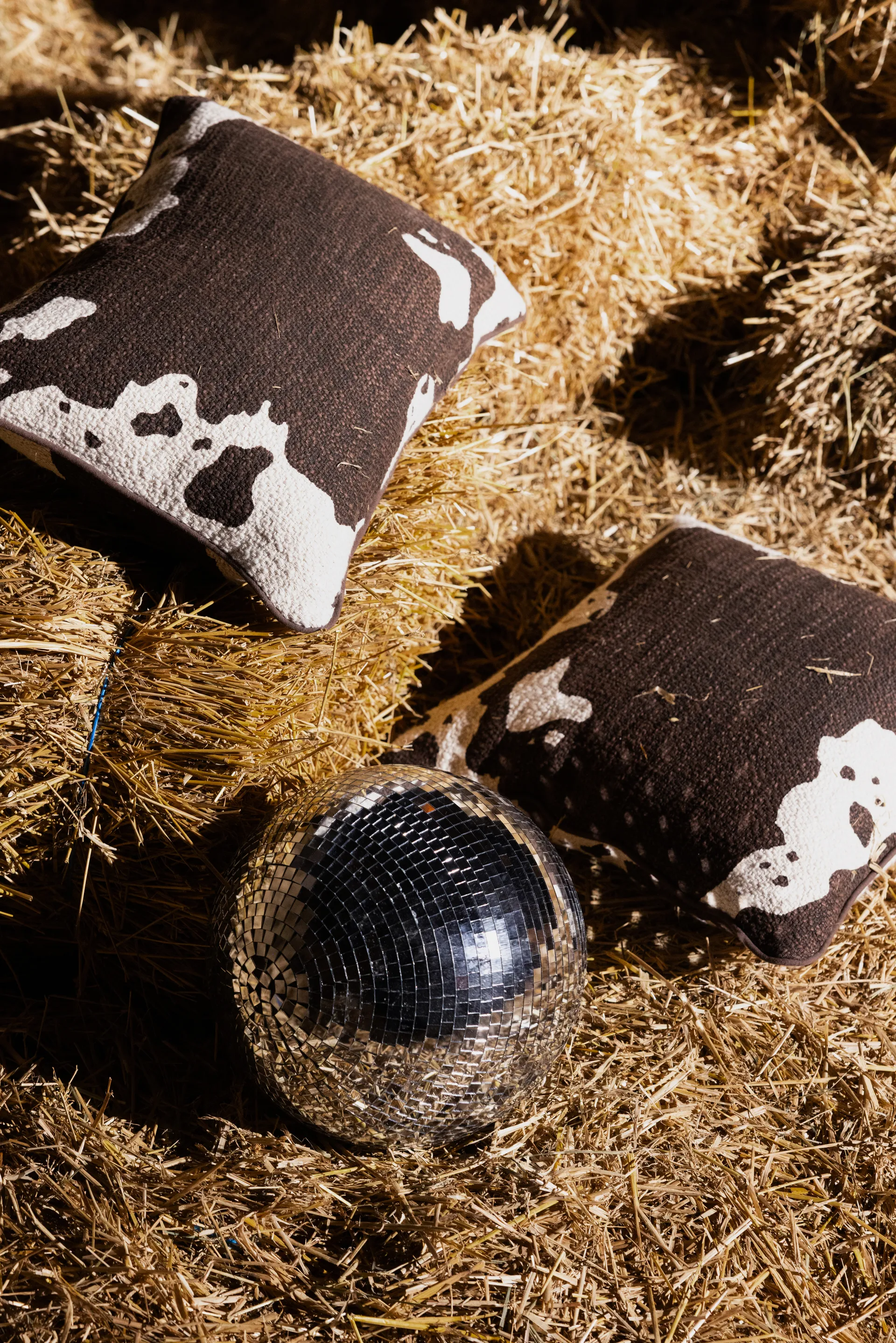 아니마 쿠션 M 50x50 cm, Cow Byon | 바이온