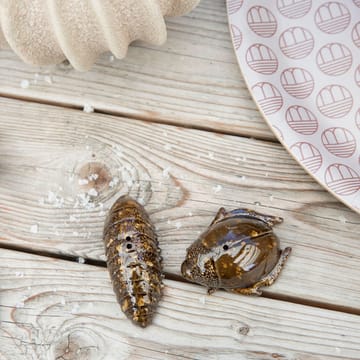 Salt- & pepper shaker beetles - brown - Byon | 바이온