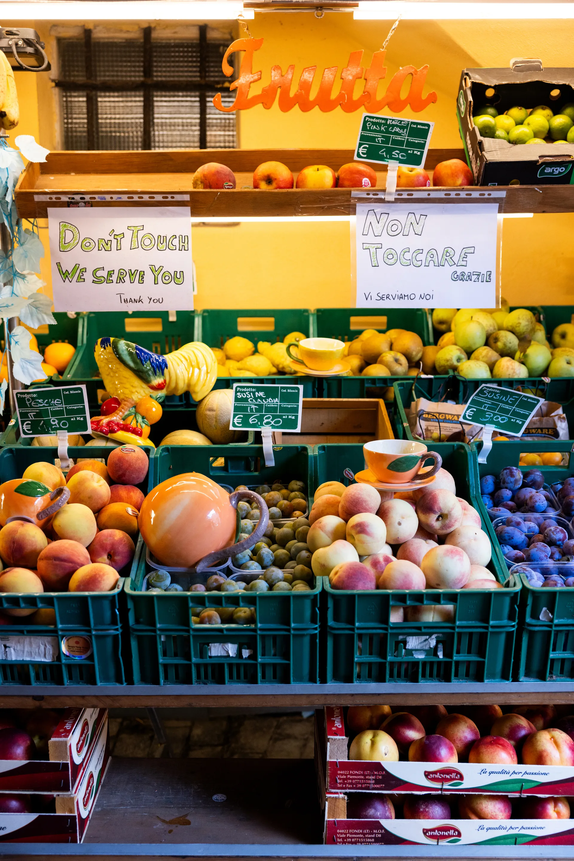 프루티 루스터 보울, Yellow Byon | 바이온