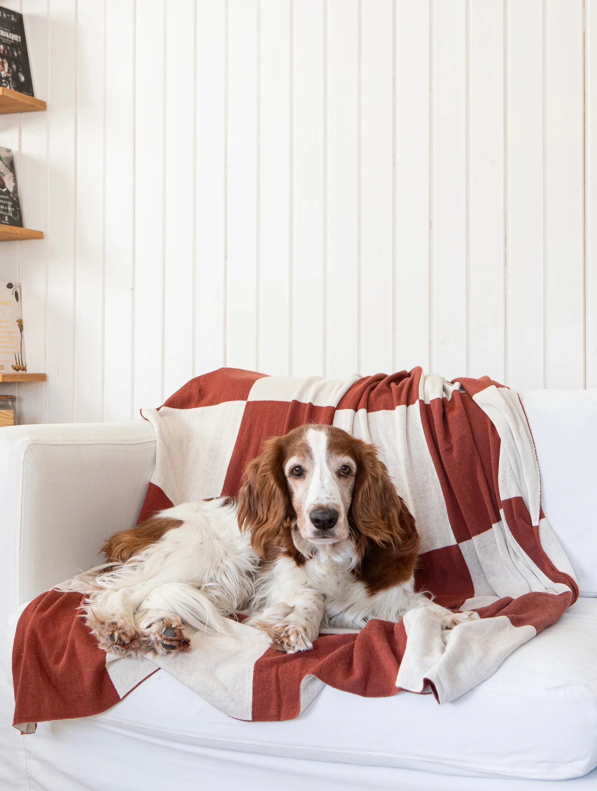 스퀘어 스로우 130x170 cm, Dark Brown Classic Collection | 클래식 콜렉션