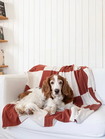 스퀘어 스로우 130x170 cm - Dark Brown - Classic Collection | 클래식 콜렉션