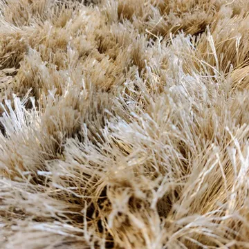 Shaggy 러그 170x230 cm - champagne - Classic Collection | 클래식 콜렉션