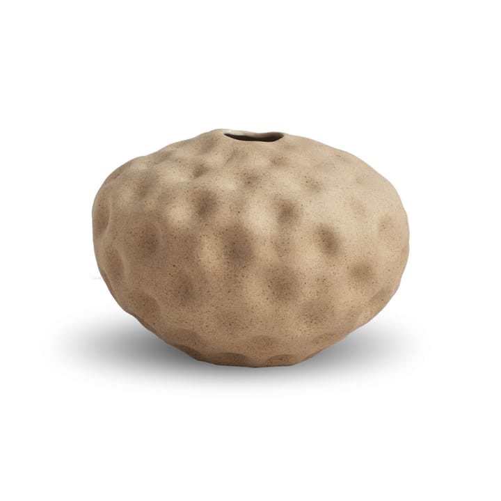 씨드팟 화병 10 cm, Walnut Cooee Design | 쿠이디자인