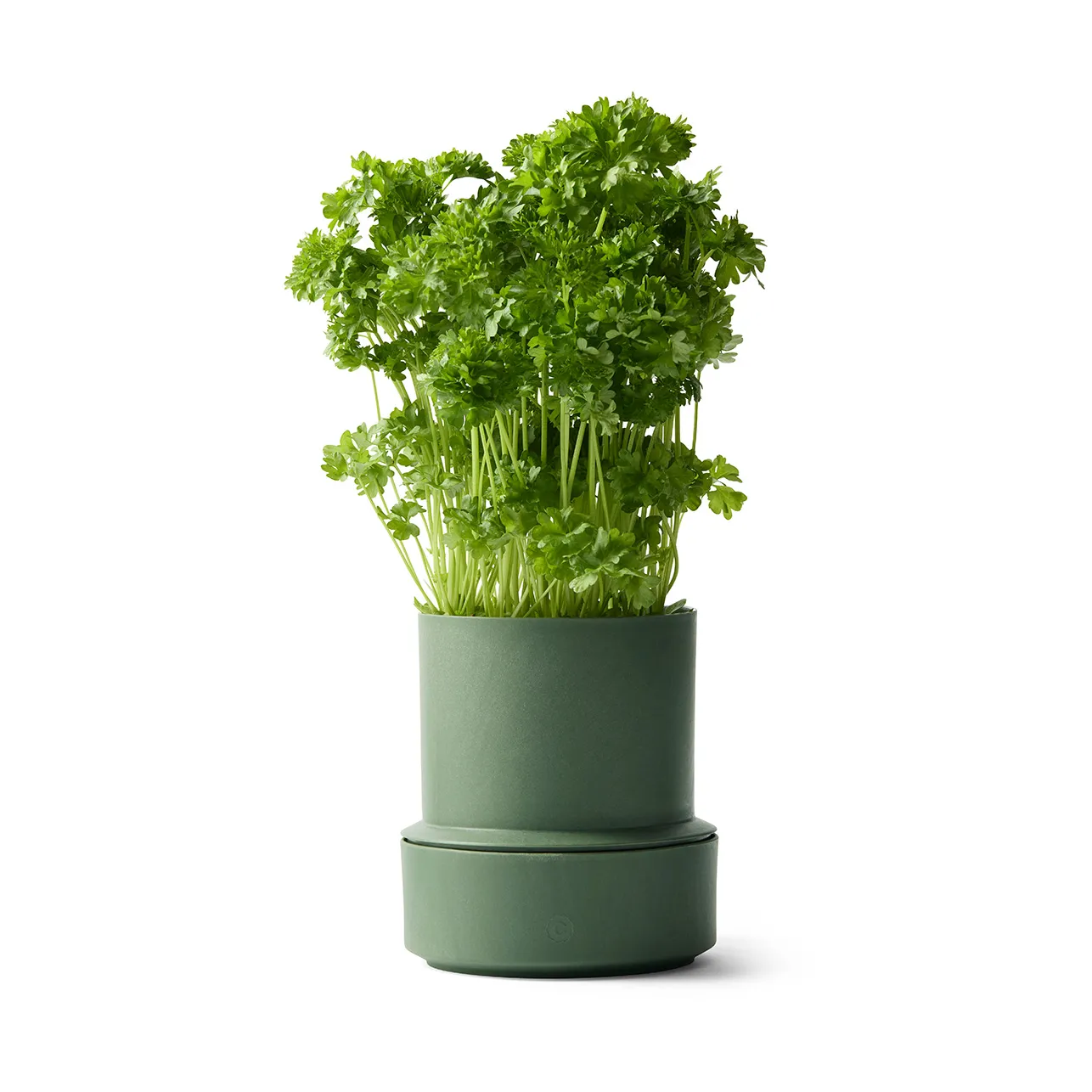 빌룬드 셀프 워터링 허브 화분, Parsley Crushgrind