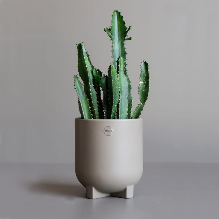 플러스 화분 Ø14 cm, dust DBKD | 디비케이디
