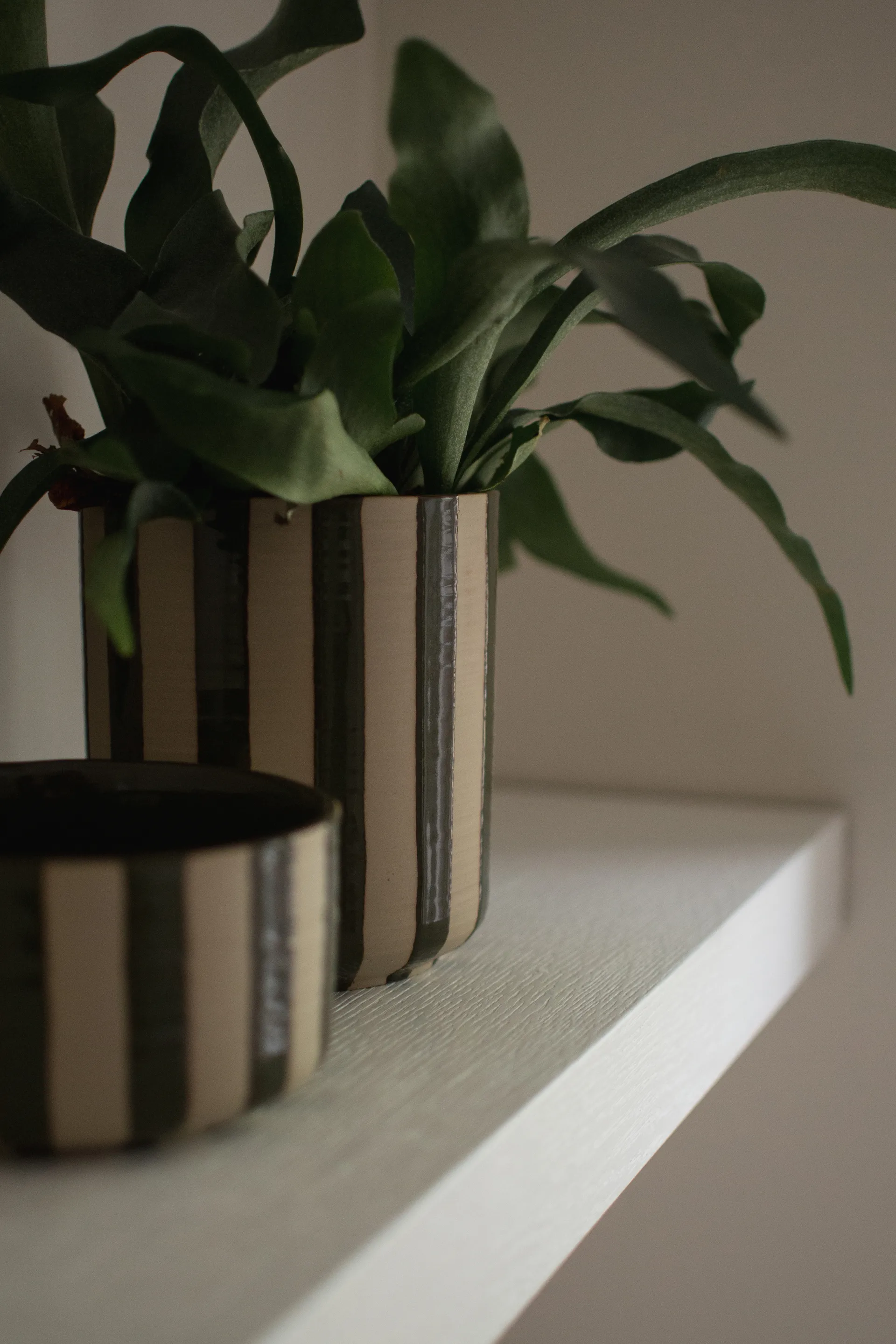 라인 팟 Ø14x16 cm, Stripe Green DBKD | 디비케이디