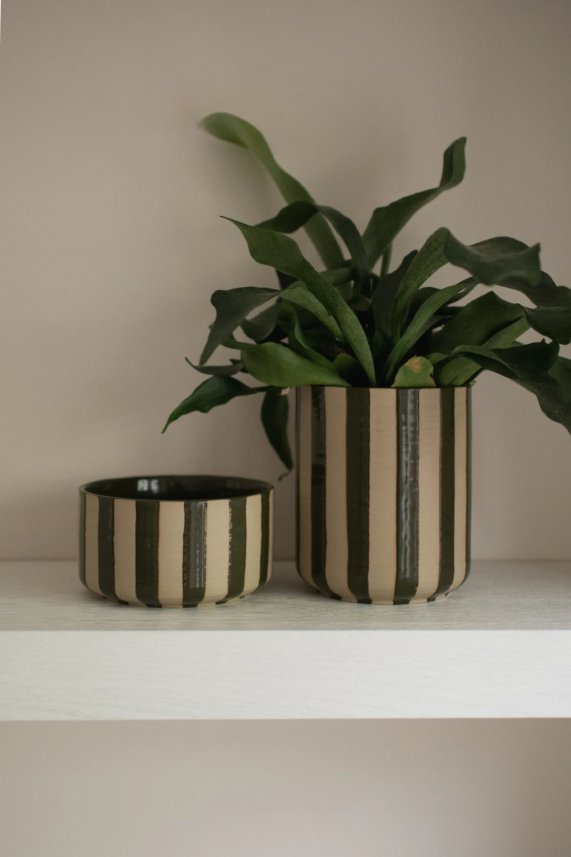 라인 팟 Ø14x16 cm, Stripe Green DBKD | 디비케이디