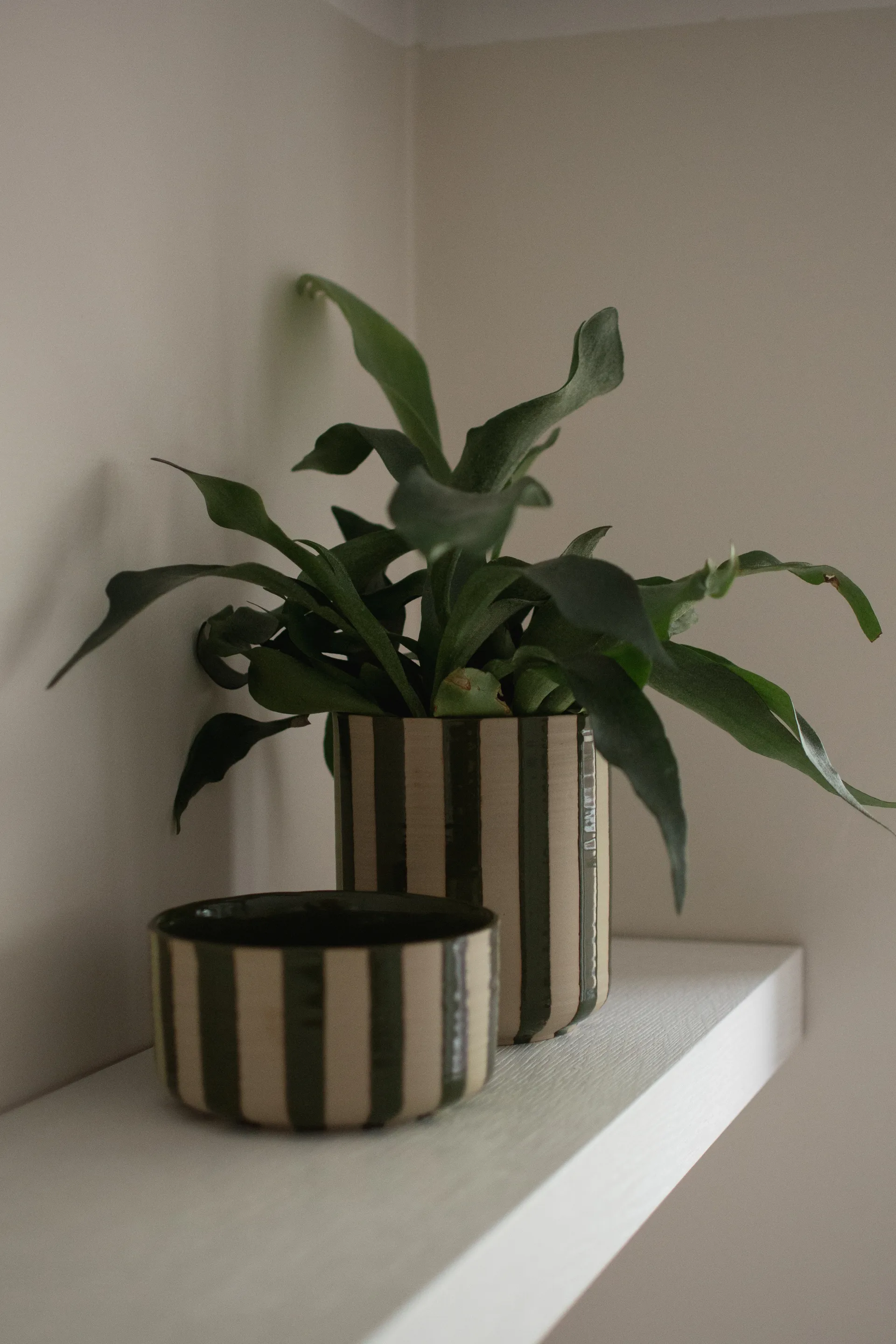 라인 팟 Ø14x16 cm, Stripe Green DBKD | 디비케이디